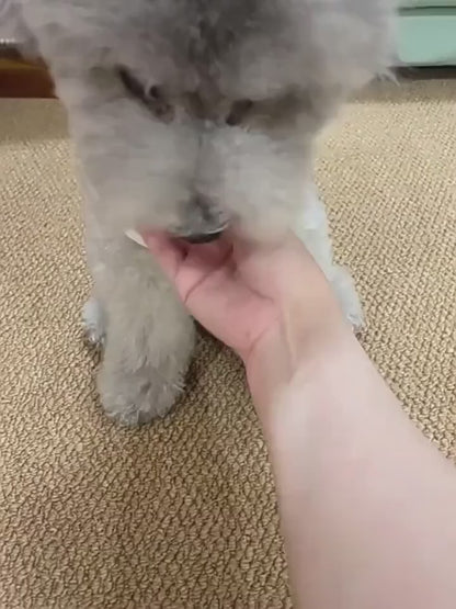 Pelota Inteligente para Mascotas